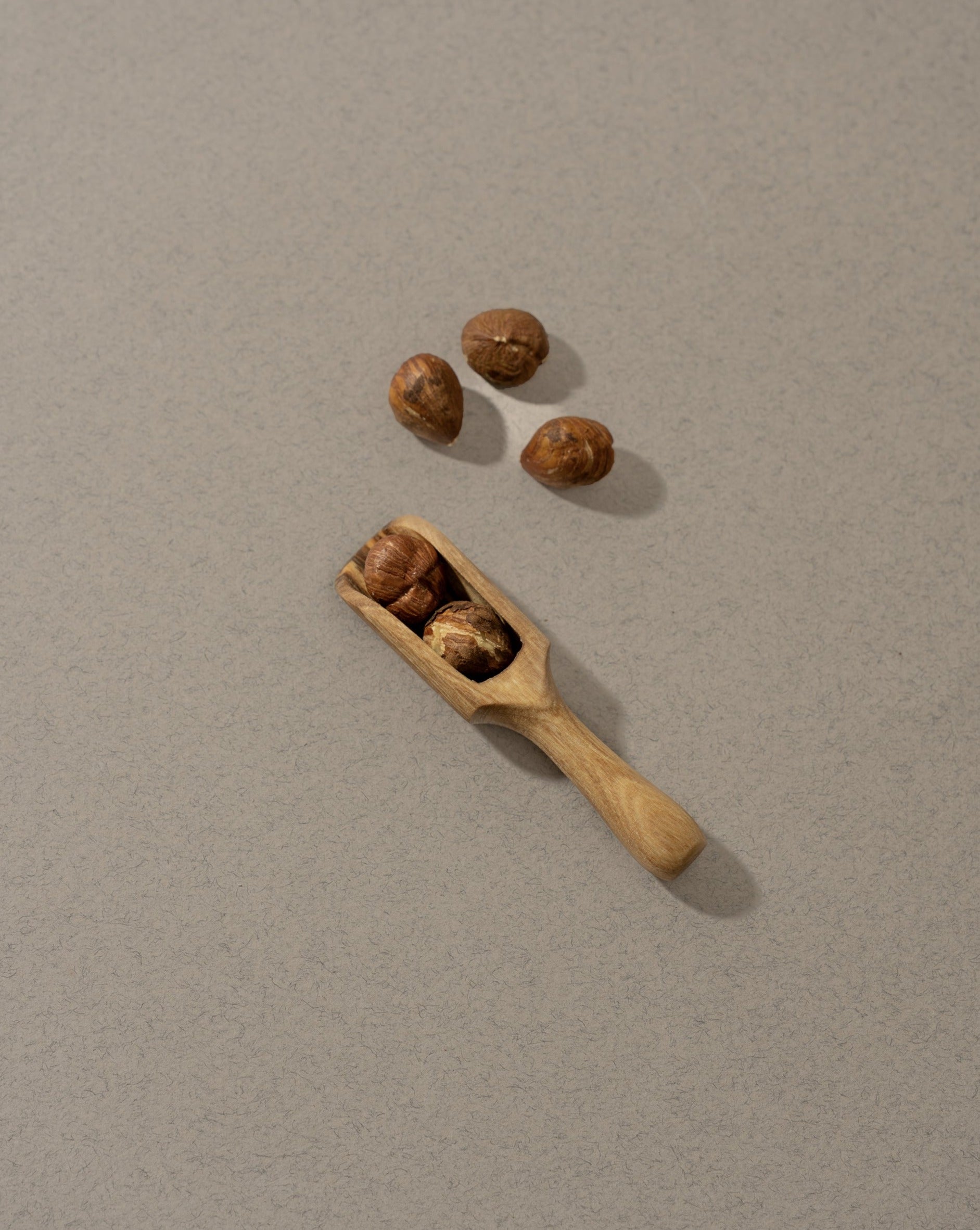 A collection of wooden scoops of various sizes, displayed against a neutral background.