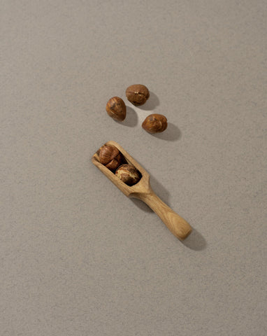 A collection of wooden scoops of various sizes, displayed against a neutral background.