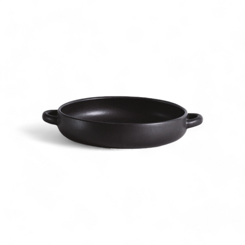Stoneware Dinner Plate With Handles 7.9"